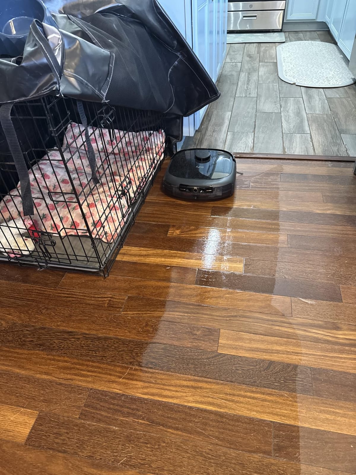 eufy E25 Robot Vacuum customer photo 1