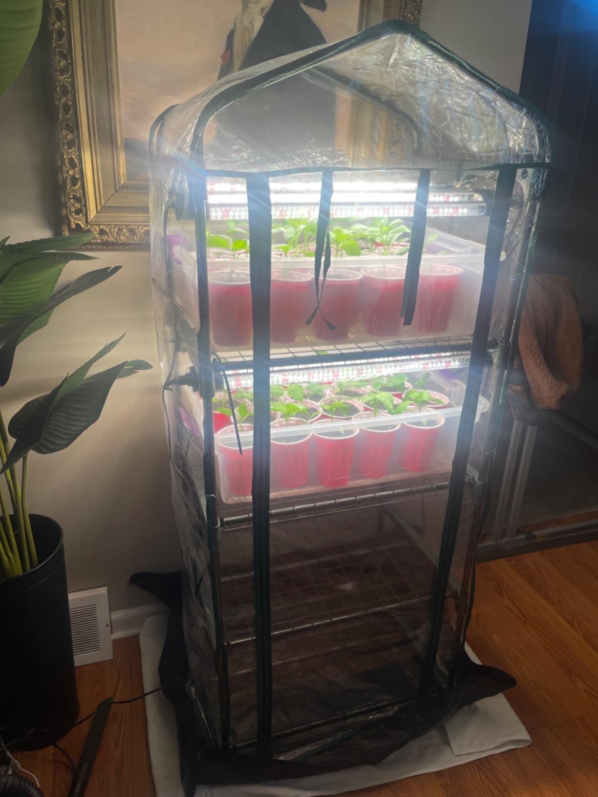 Miracle-Gro 4'8