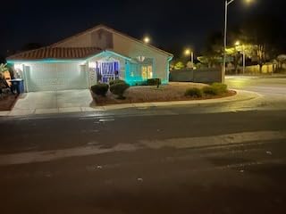 Blue Christmas Icicle Lights Outdoor: 40 Tube Meteor Shower Rain Lights customer photo 1