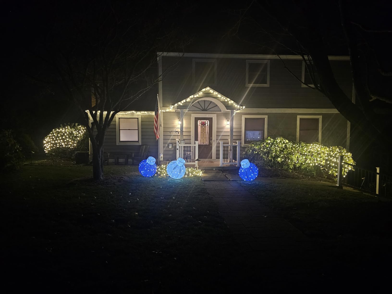 Led Net Lights Christmas Lights Outdoor 200Led 9 ftx 6ft Upgraded WarmWhite Christmas Net Lighting, Waterproof 5mm LED Wide Angle Outdoor Indoor Mesh Net Light for Trees, Bushes, Shrubs Decorations customer photo 2