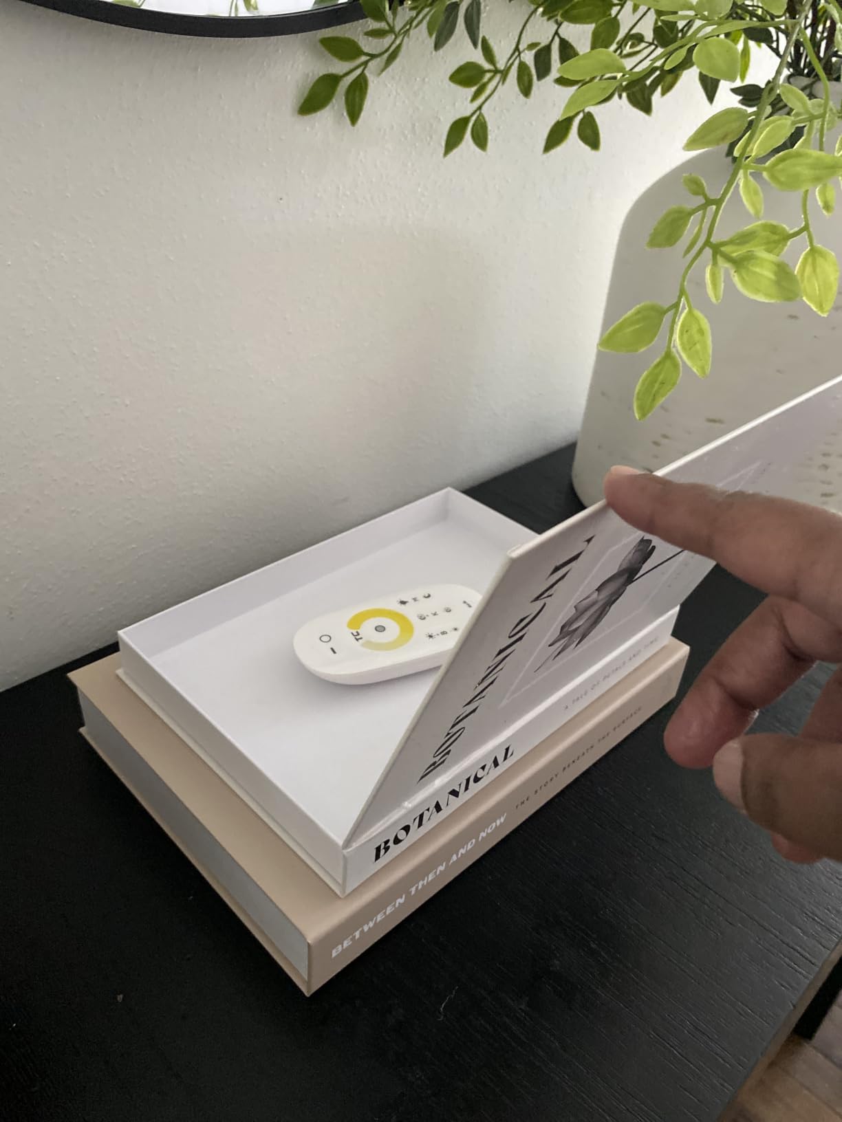 ZICOTO Beautiful Decorative Books Set of 2 for Your Coffee Table & Shelf customer photo 1