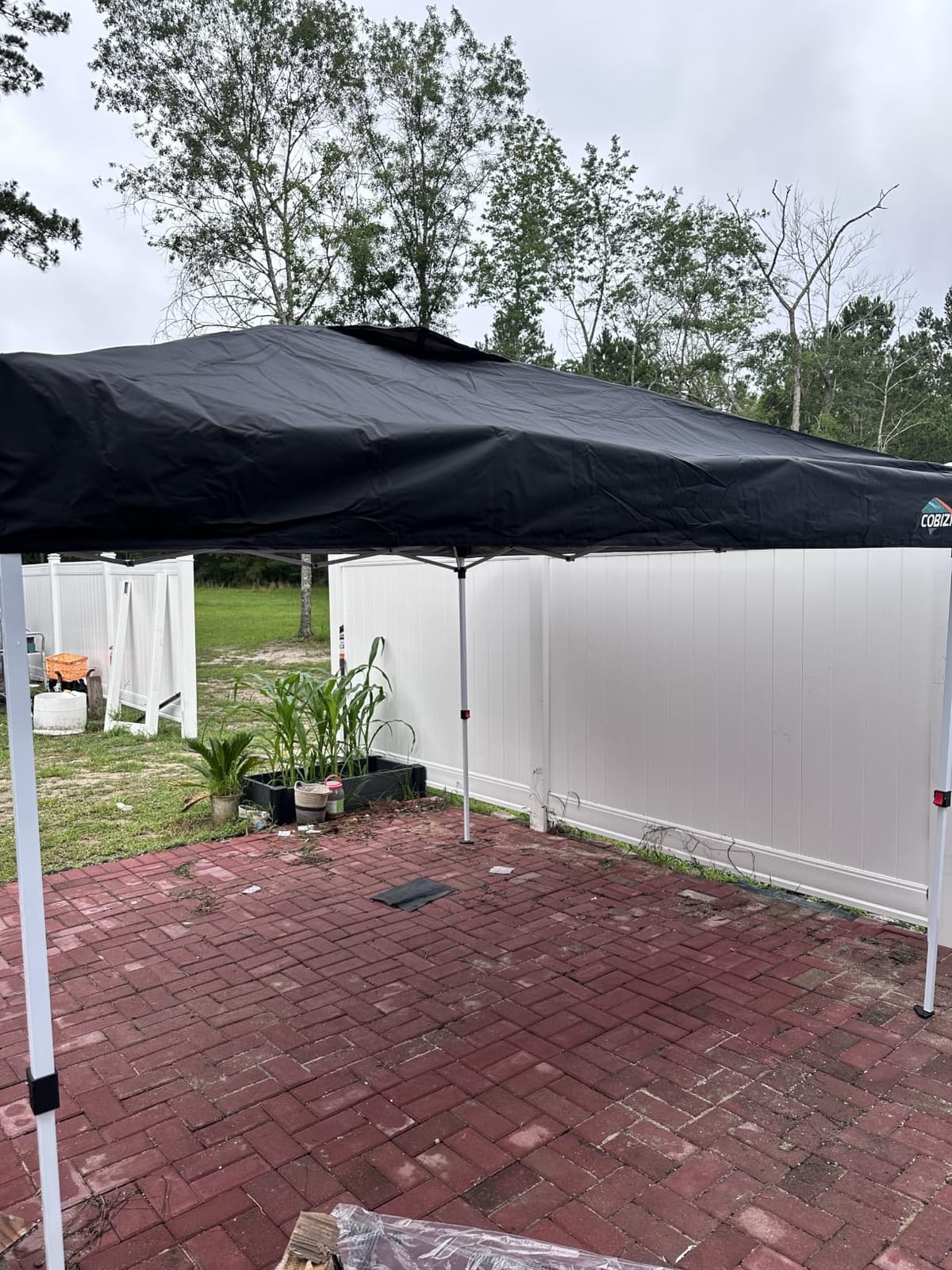 COBIZI 10x10 Pop Up Canopy Tent with 4 Removable Sidewalls for Party customer photo 2