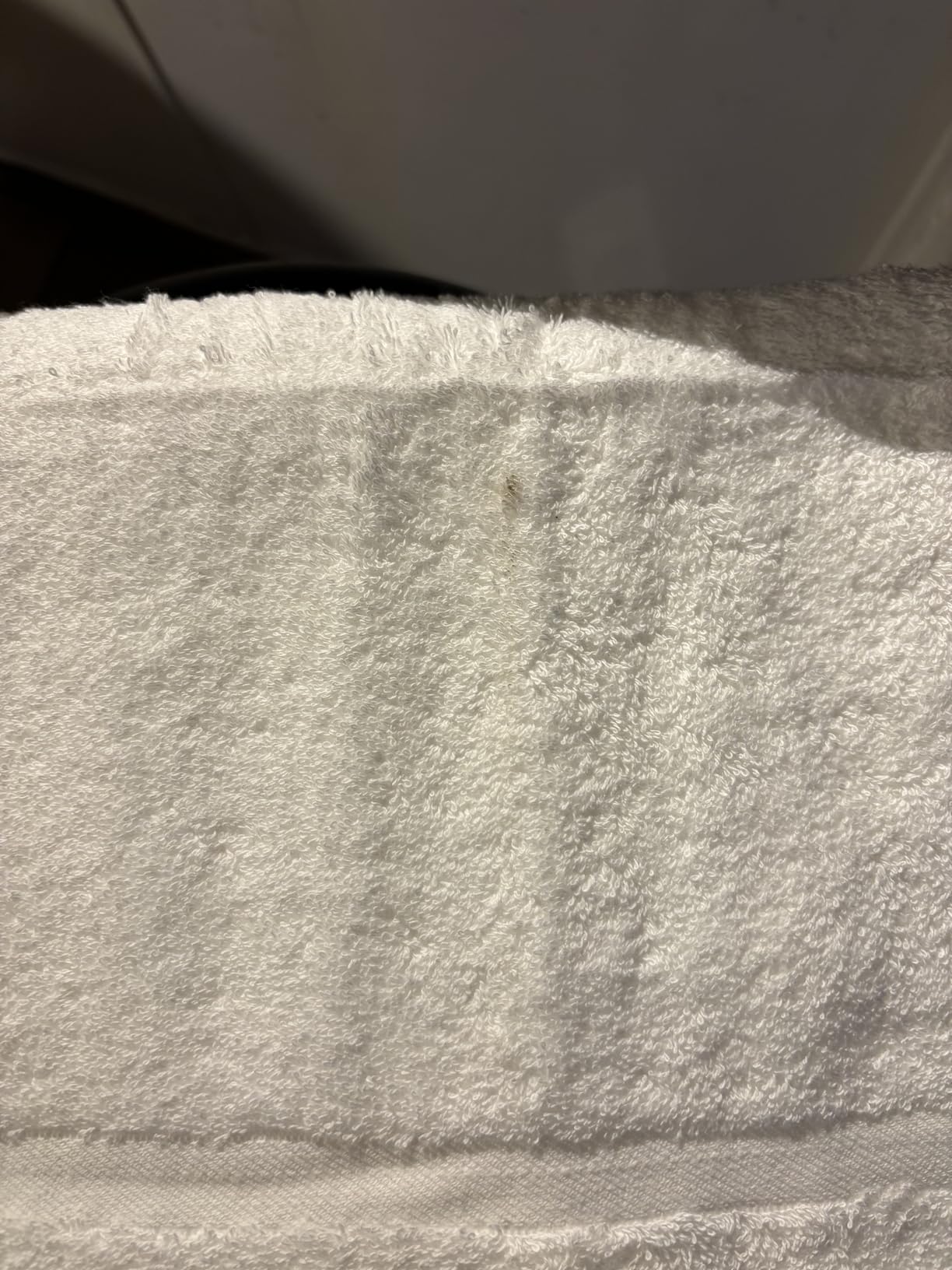 Velqora Large 100% Organic Cotton Bath Towels 4 Pack, 30x60 in, White customer photo 2