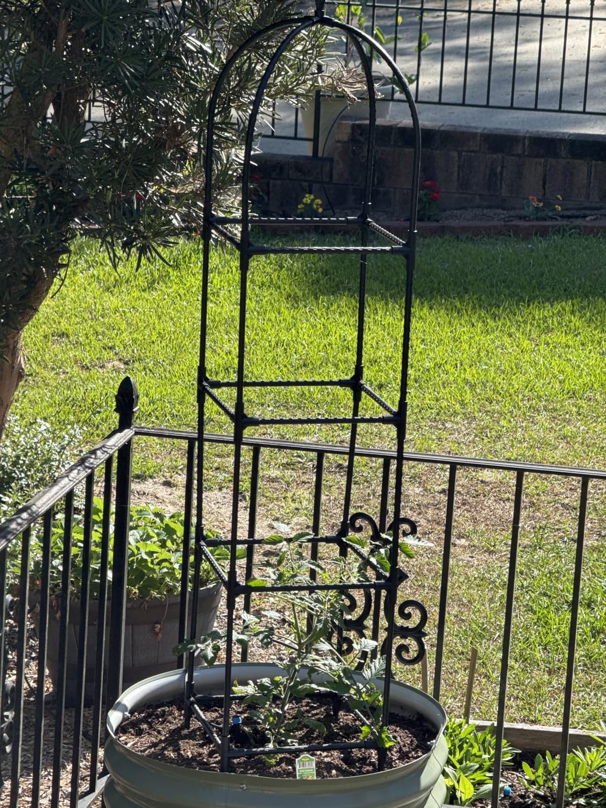 2 Pack Garden Obelisk Trellis for Climbing Plants, 71