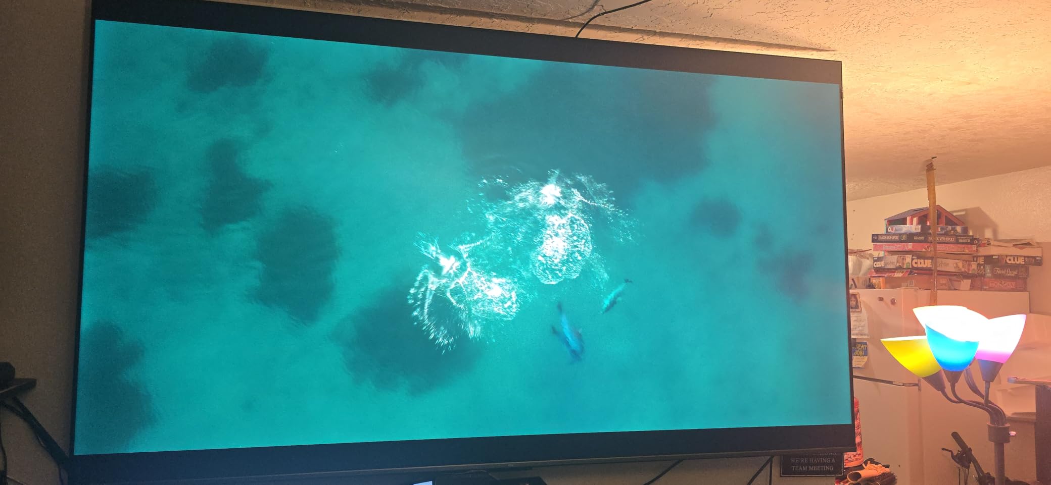 TCL T7 65 customer photo 1