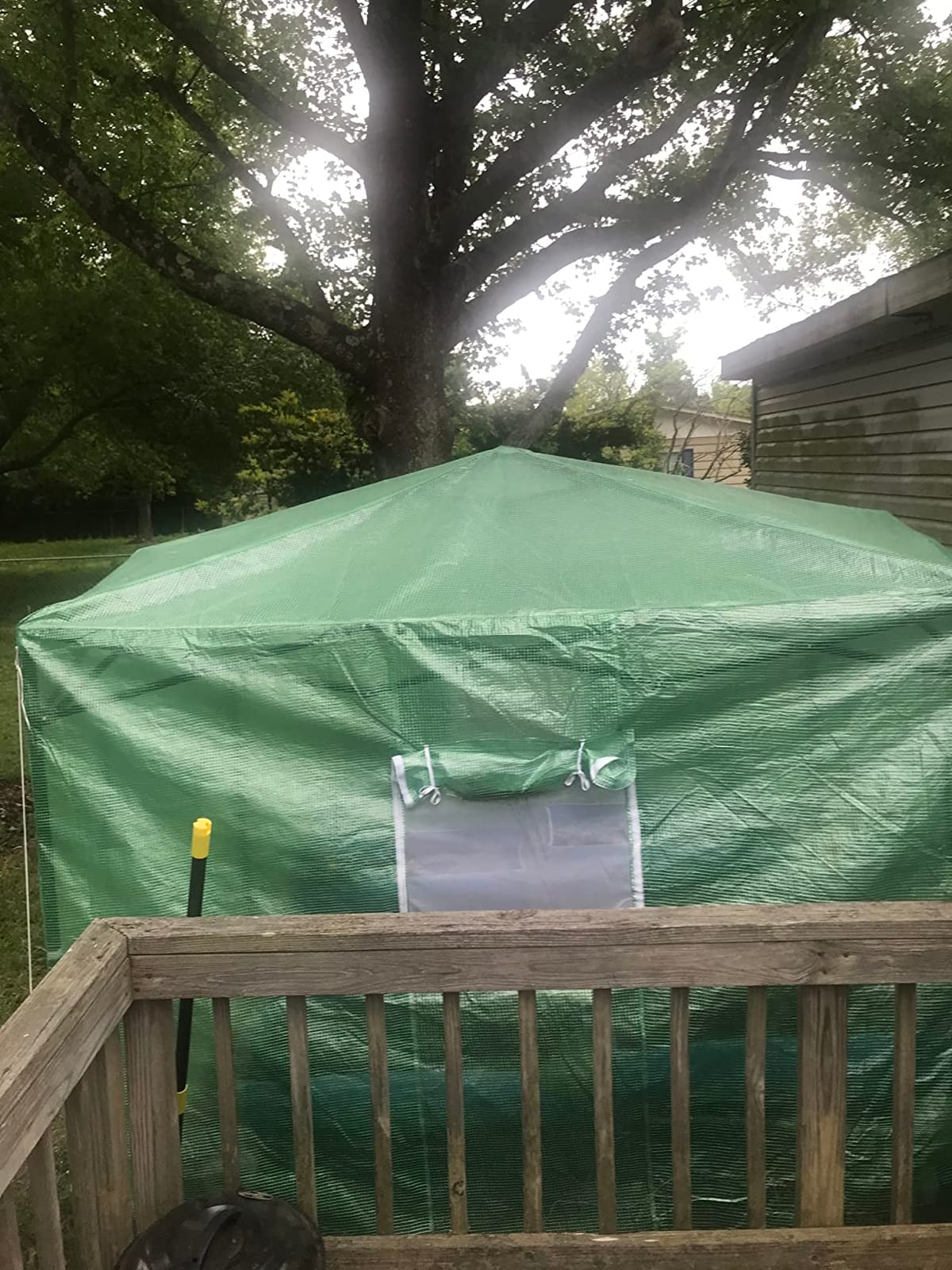 CROWN SHADES 12X8 Pop Up Outdoor Walk-in Portable Greenhouse,Green customer photo 2