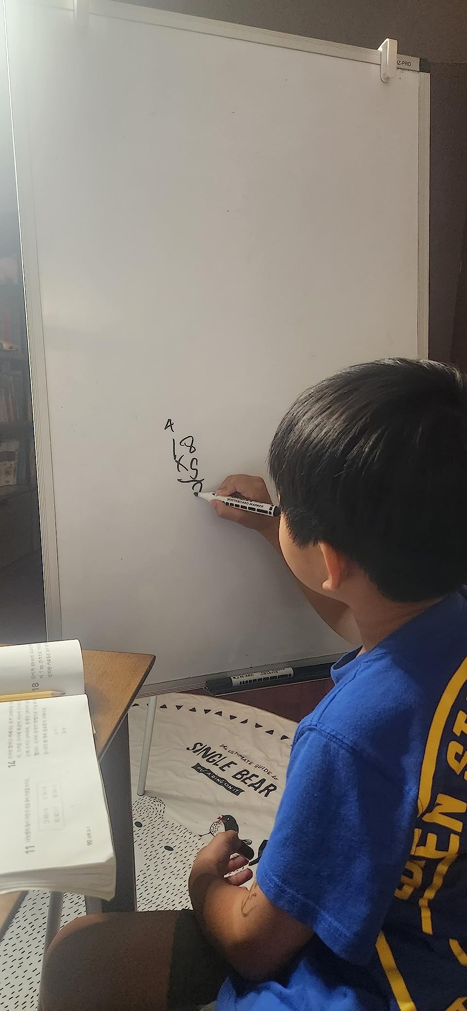 VIZ-PRO Magnetic Whiteboard Easel, Foldable, 48 x 36 Inches customer photo 1