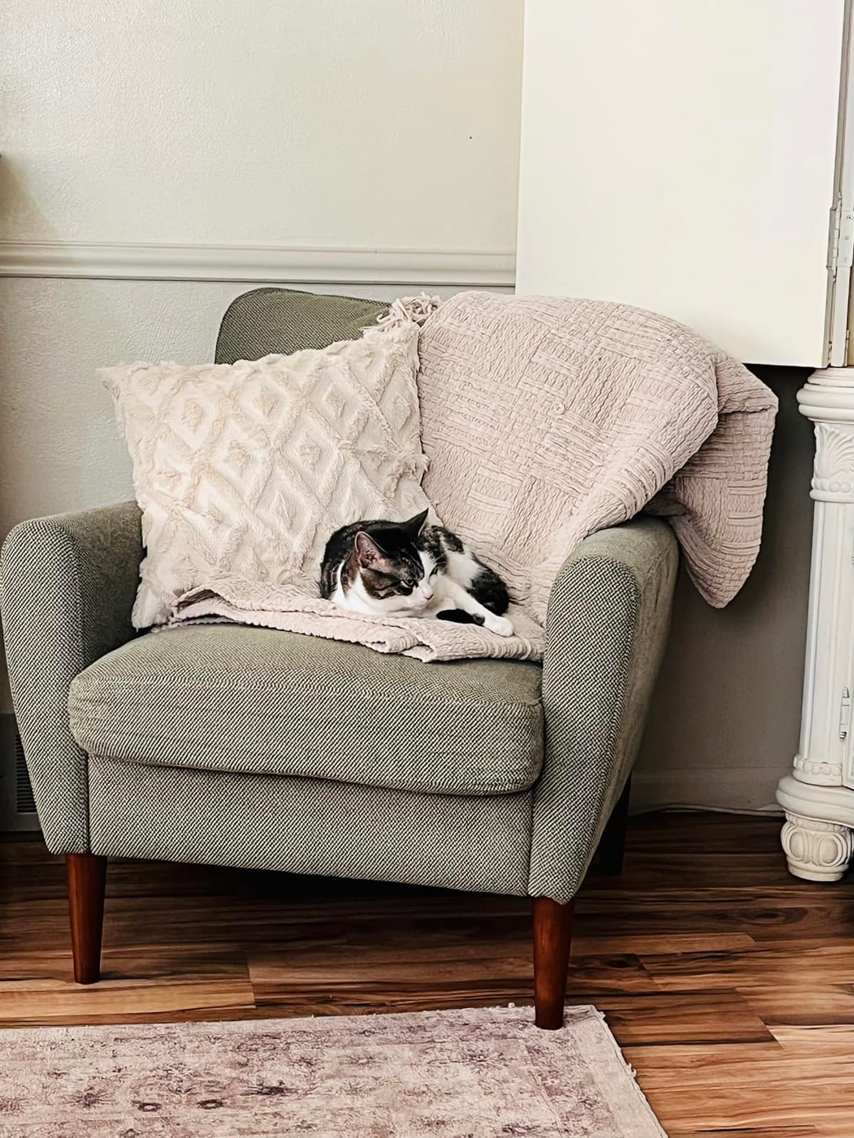 OLIXIS Comfy Accent Chair for Living Room Bedroom and Waiting Room customer photo 1