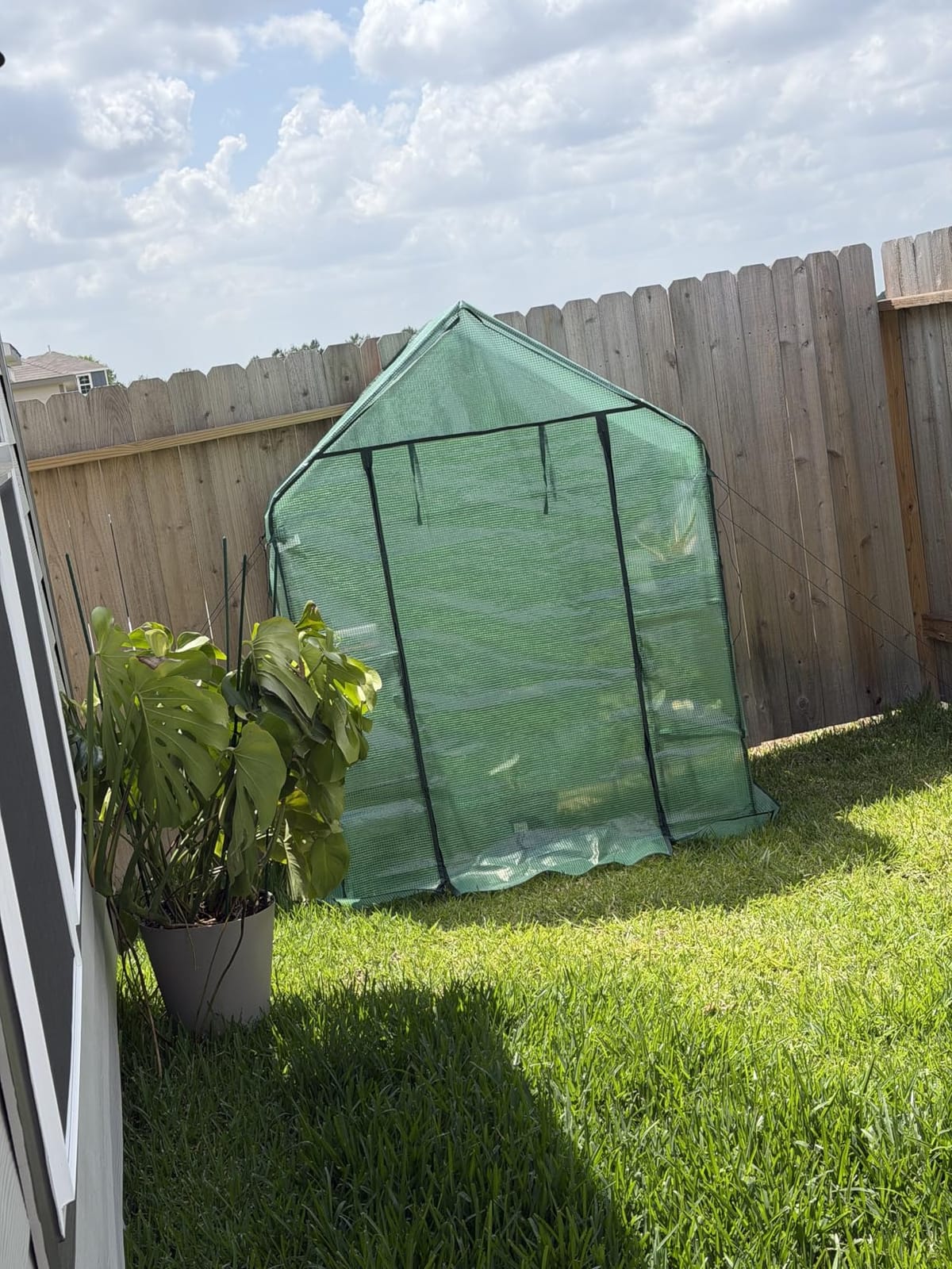 Ohuhu Plastic Greenhouse for Outdoors: Portable Walk in Plant Green House with Improved Transparent PVC Cover, 3 Tiers 12 Shelves Stands Small Greenhouses Backyard Green Houses for Outside Heavy Duty customer photo 2