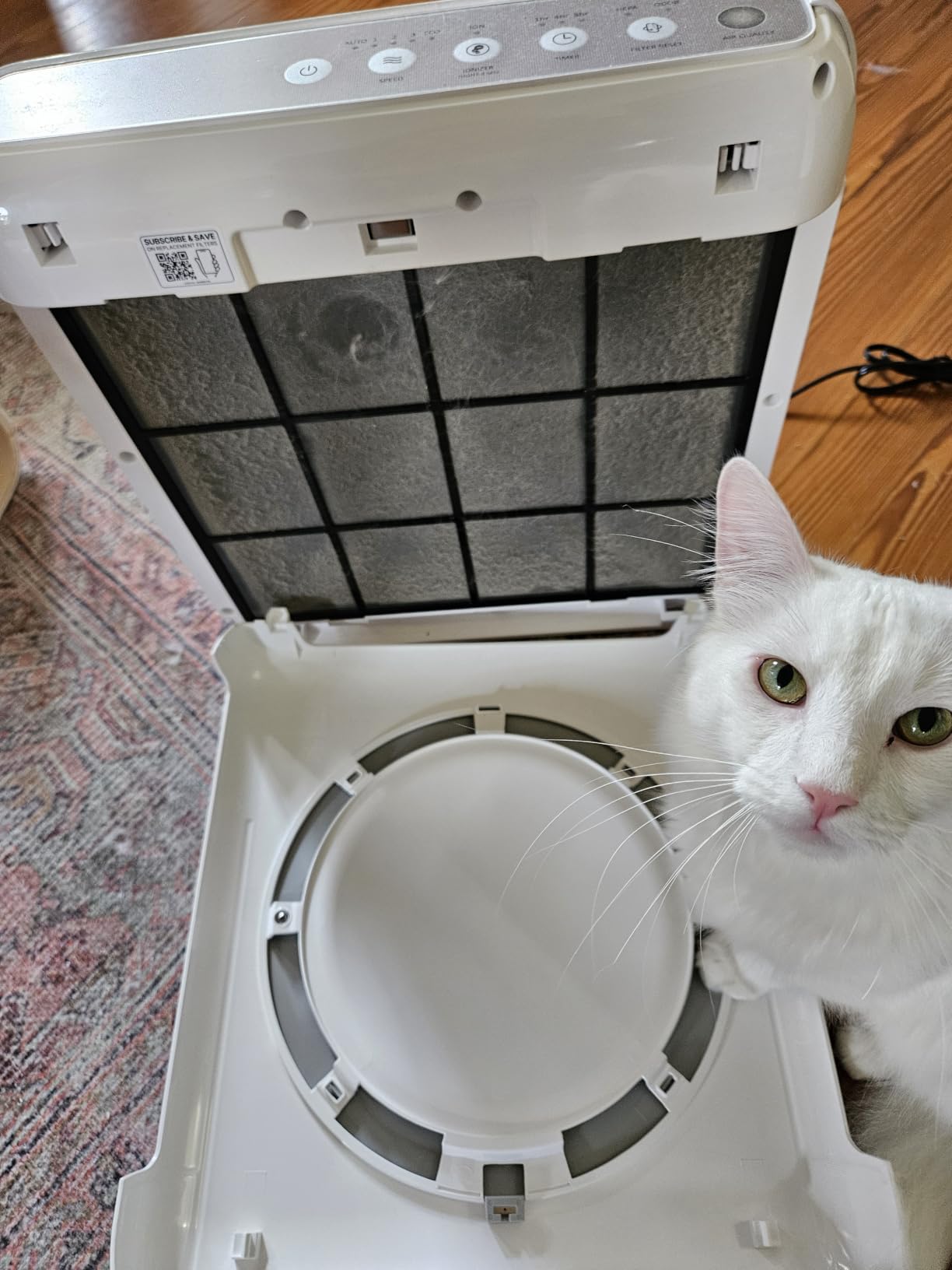 COWAY Airmega Mighty2 Air Purifier, Next Gen of AP-1512HH, for Large Room & Home Cleans up to 1,800 ft², IEST certified HEPA and Active Carbon for Allergies, Smoke, Dust, Pets & Mold, AP-1512N(BG) customer photo 2