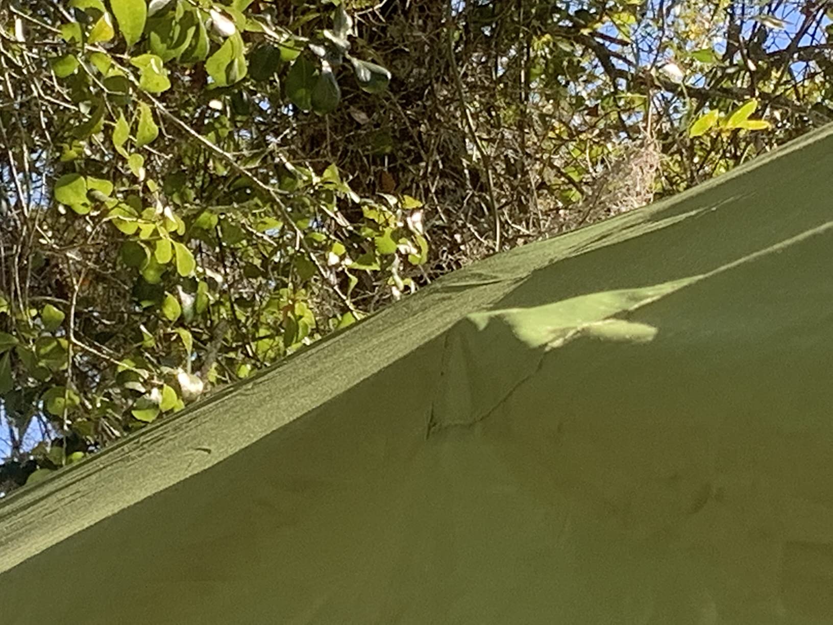 Quictent 10x30FT Pop up Canopy with Sidewalls customer photo 1