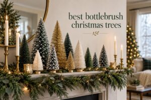 best bottlebrush christmas trees