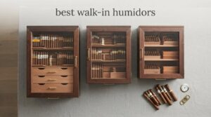 best walk-in humidors