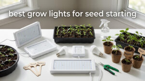 best grow lights for seed starting