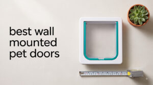 best wall mounted pet doors