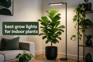 best grow lights for indoor plants