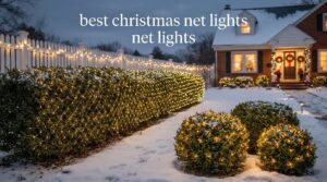 best christmas net lights
