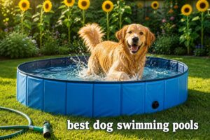 best dog swimming pools