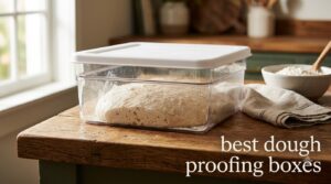 best dough proofing boxes