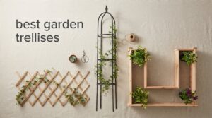 best garden trellises