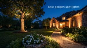 best garden spotlights