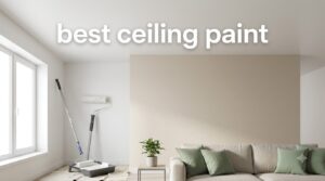best ceiling paint