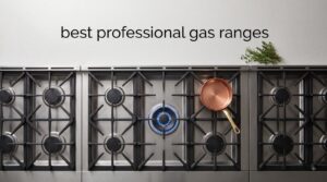 best professional gas ranges