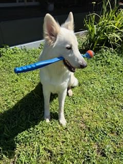 Chuckit! Ultra Ball customer photo 2