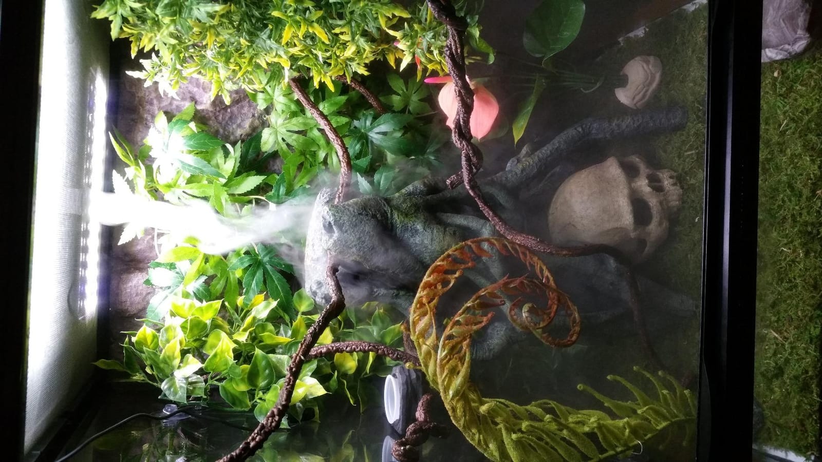 Zoo Med Repti Fogger customer photo 2