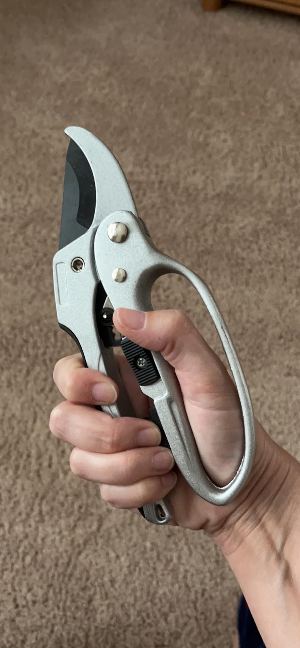 The Gardener's Friend Heavy Duty Ratchet Pruning Shears, Anvil customer photo 2