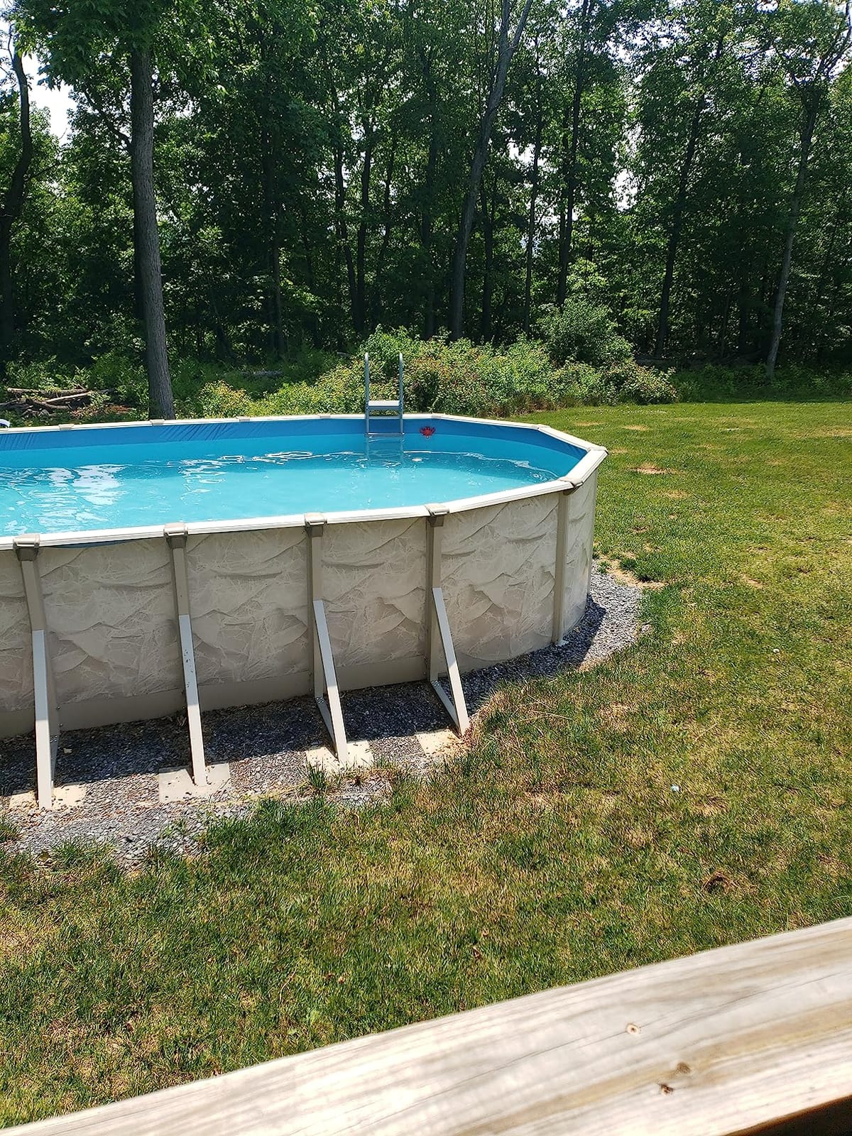 Bestway Flowclear 52 in. Pool Ladder customer photo 1