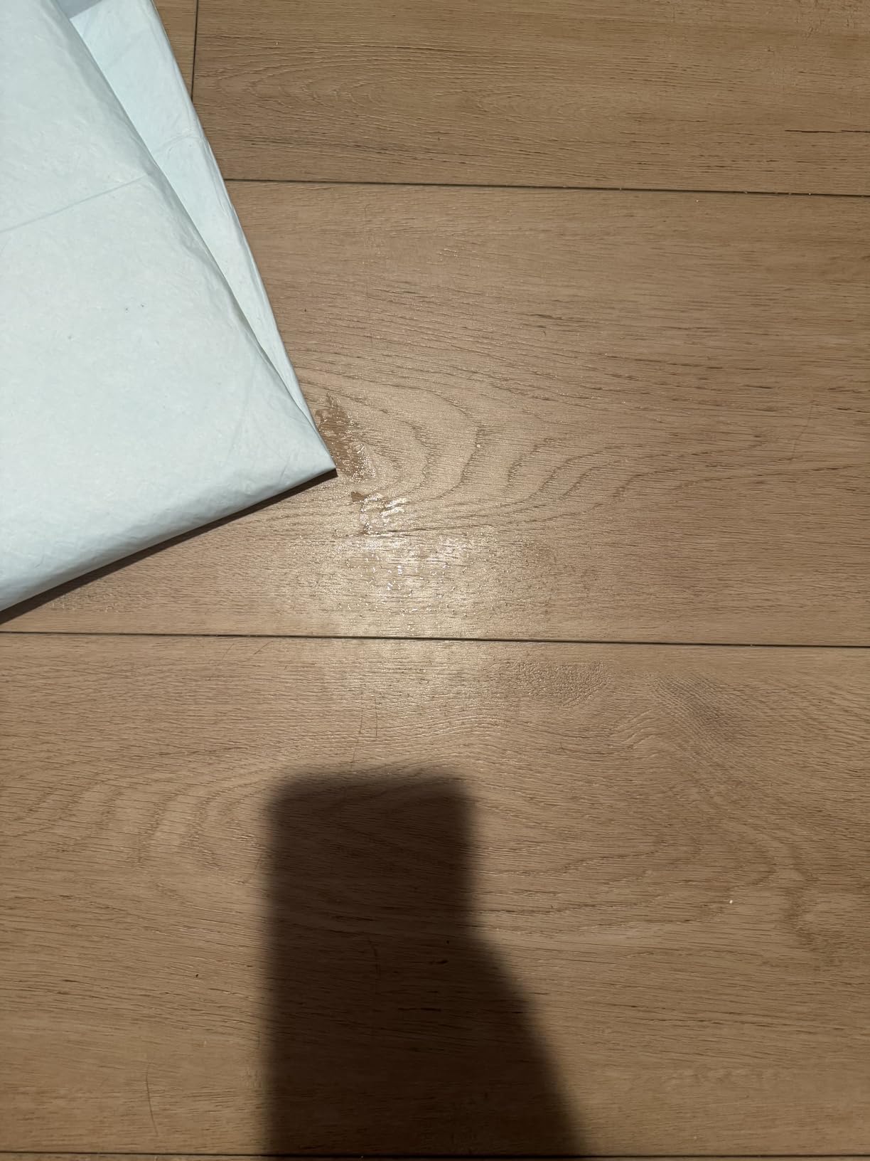 Amazon Basics Pee Pads customer photo 1
