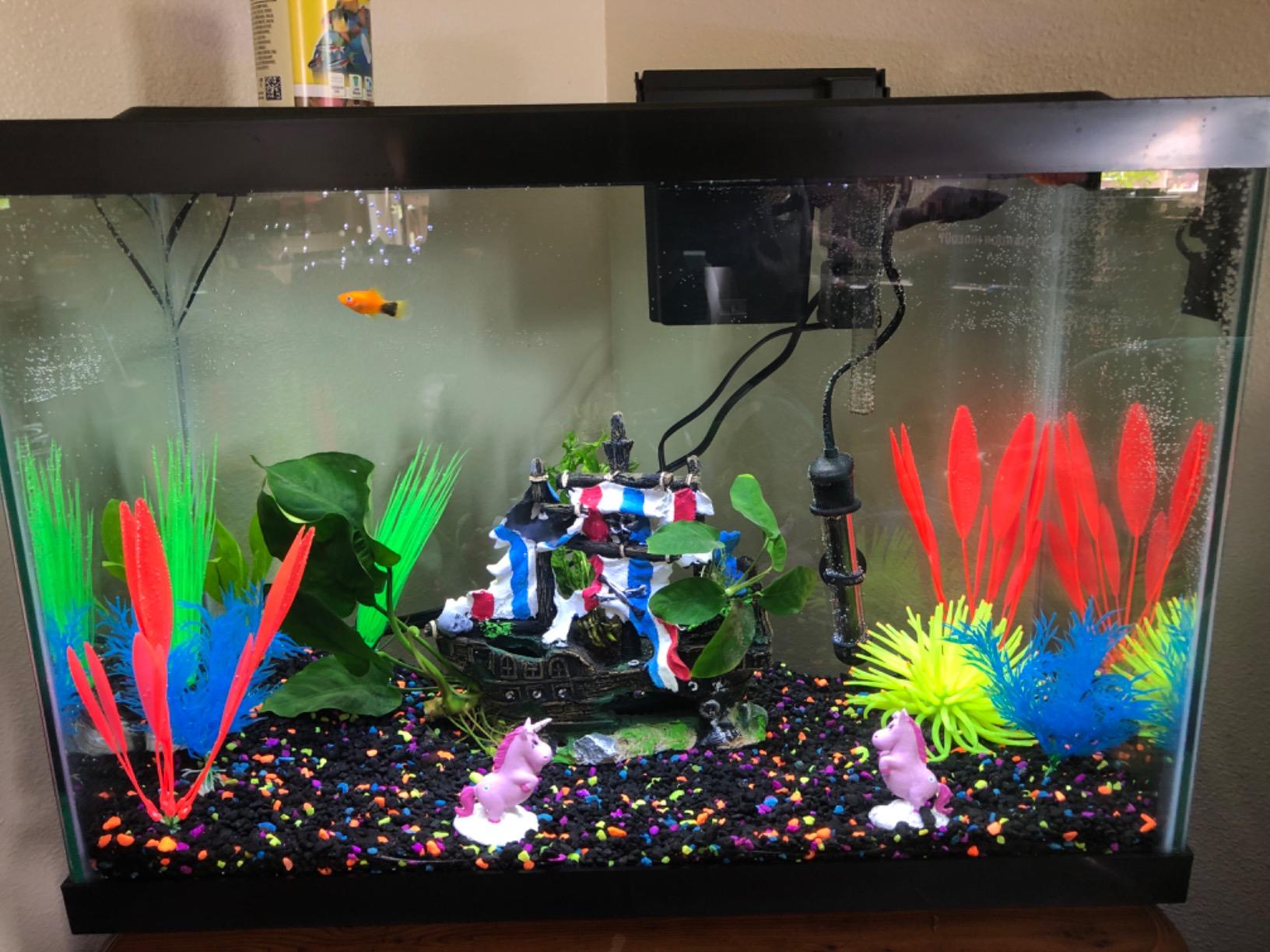 GloFish 20 Gallon Aquarium Kit with LED Lights, Decor Heater and Filter customer photo 2