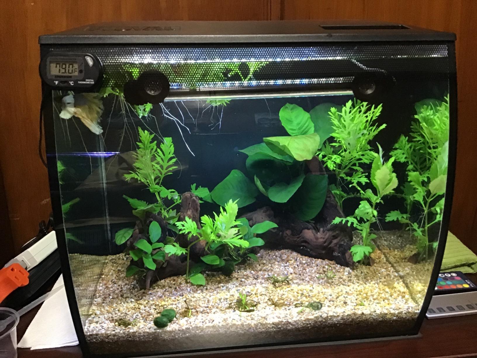 Fluval Flex 9 Gallon Glass Aquarium Kit, Black customer photo 2