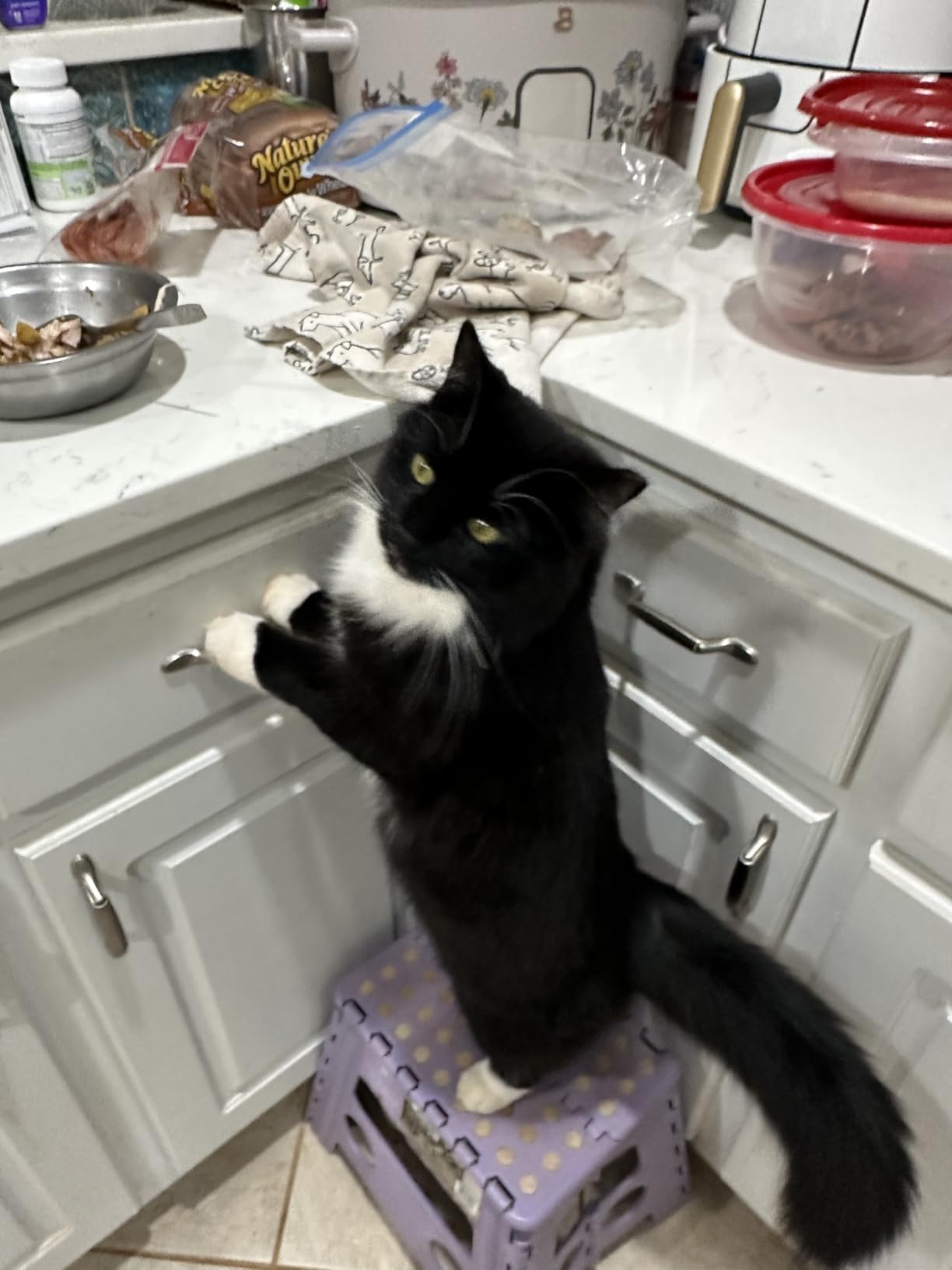 Arm & Hammer Sifting Litter Box customer photo 1