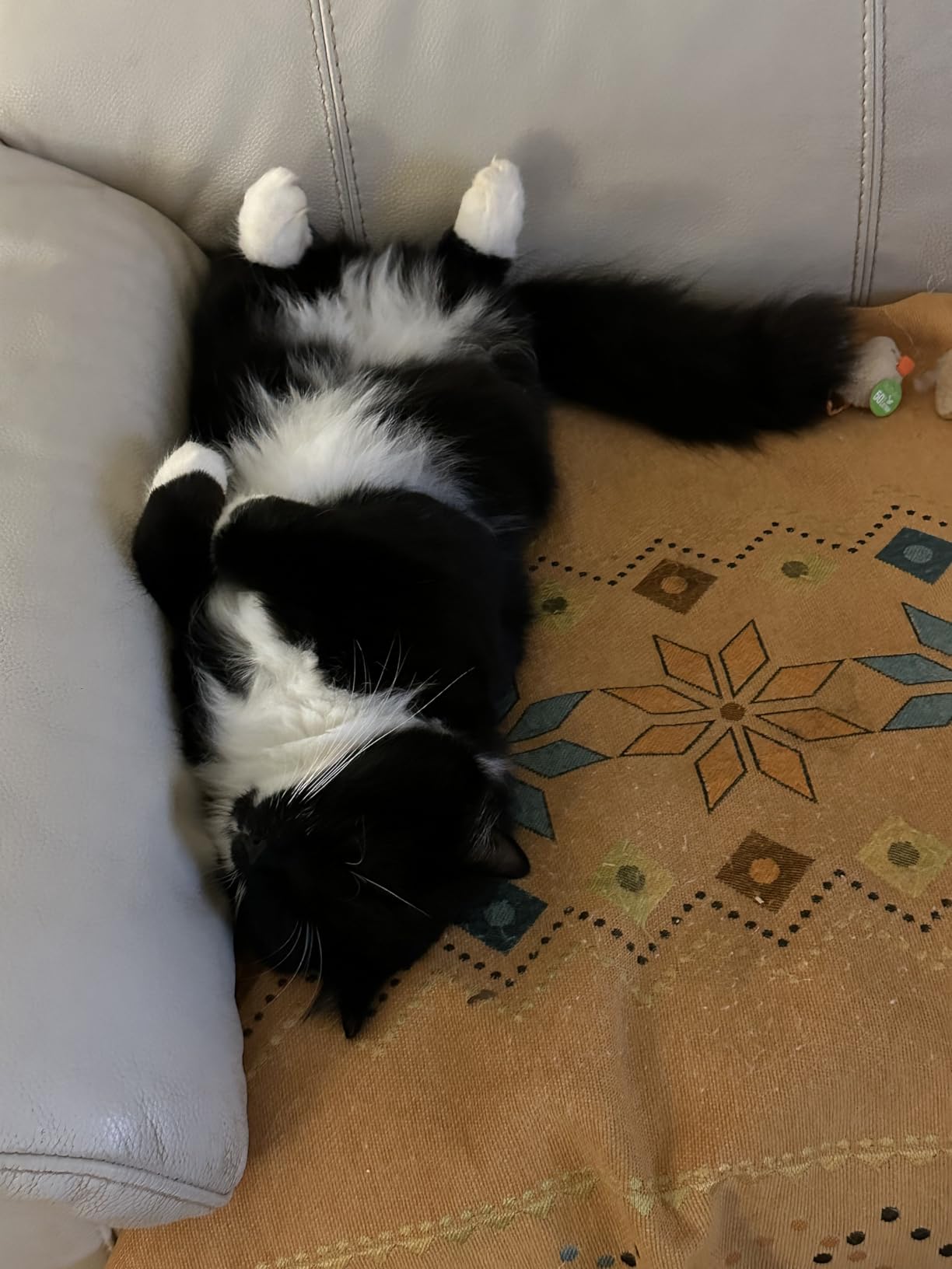 Arm & Hammer Sifting Litter Box customer photo 2