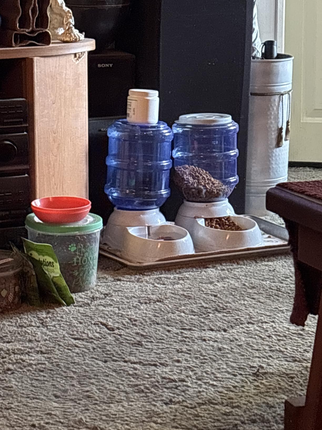 Amazon Basics Feeder Set customer photo 2