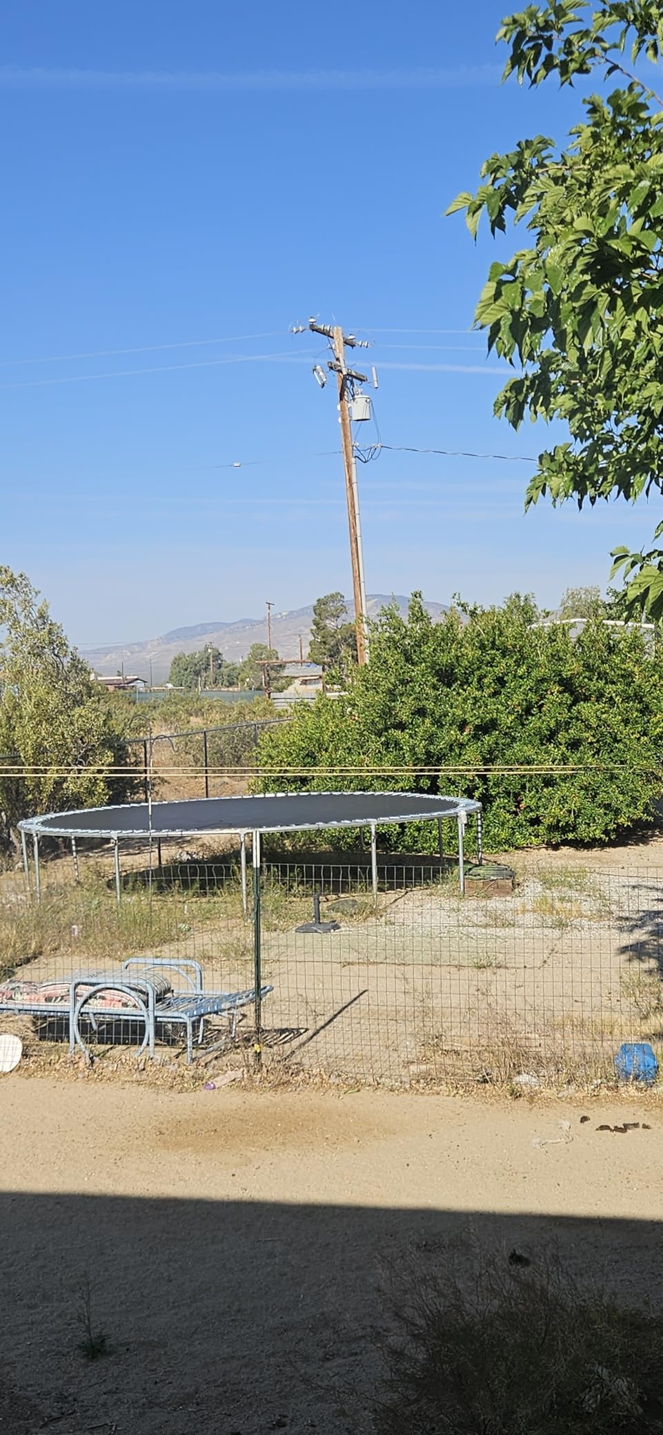 Lyromix 10 12 14 16FT Trampoline Outdoor, Light/Sprinkler/Basketball Hoop customer photo 1