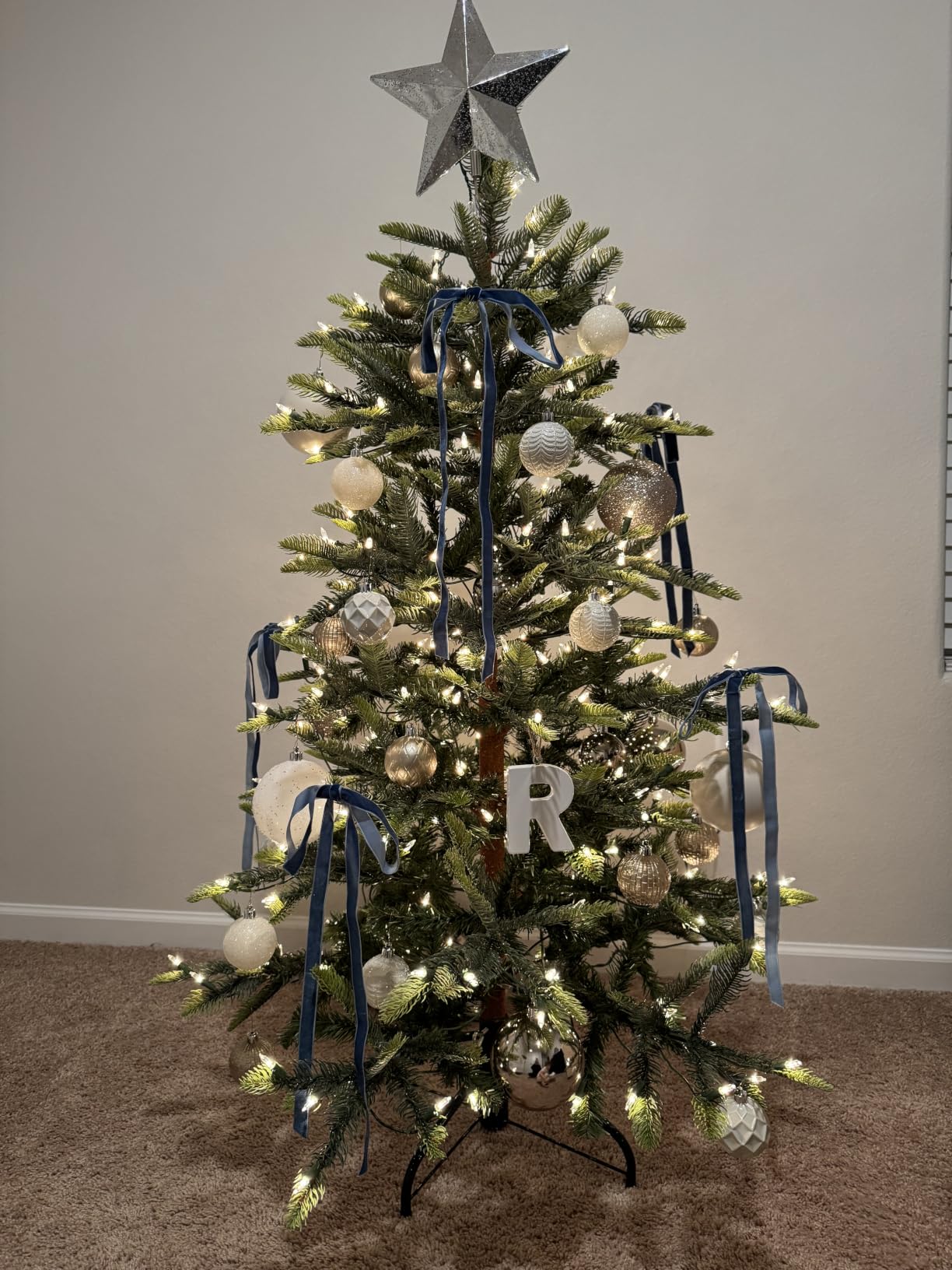 Puleo Aspen Fir customer photo 1