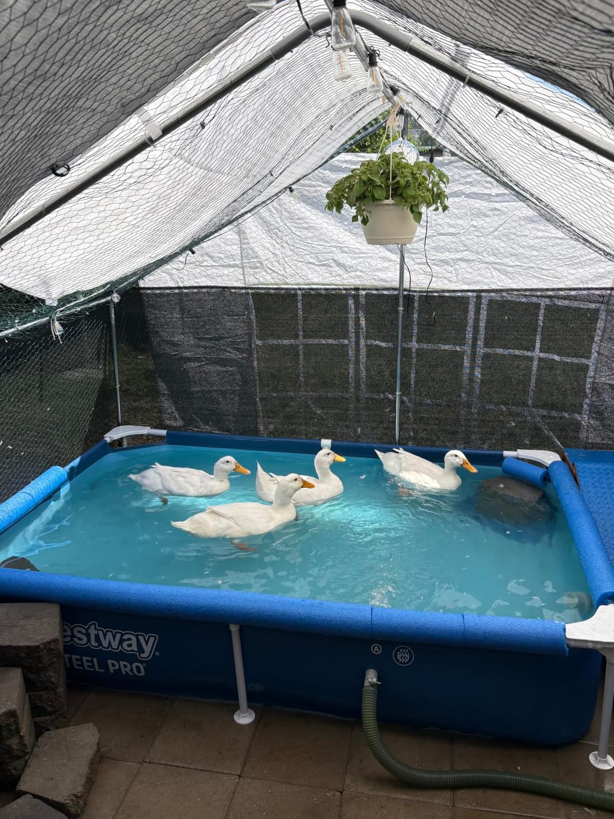 Bestway Steel Pro 8.5' x 67