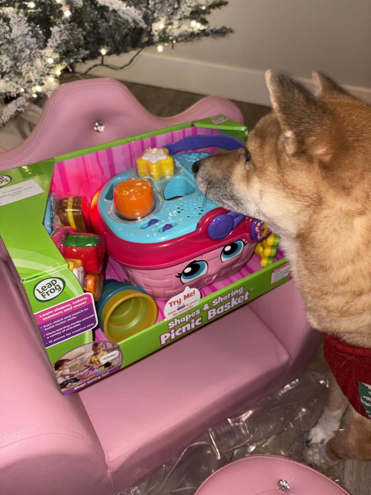 LeapFrog Picnic Basket customer photo 1