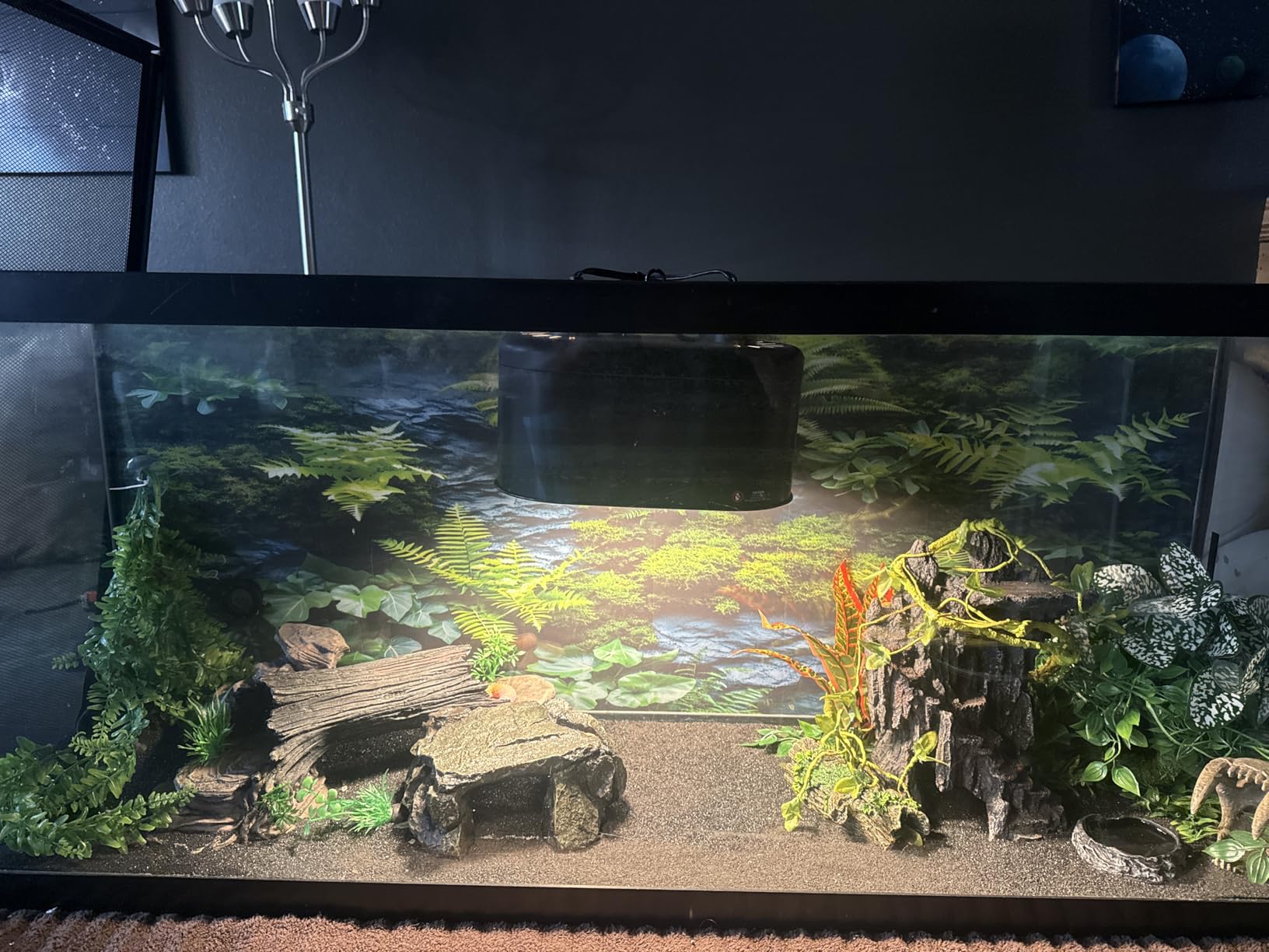REPTI ZOO Dual Reptile Light Fixture for Reptile Dome UVB Lamp Fixture Dual Reptile Reflector Dome Lamp Cap Combo Integration Design Heat Lighting Lamp Kit customer photo 1