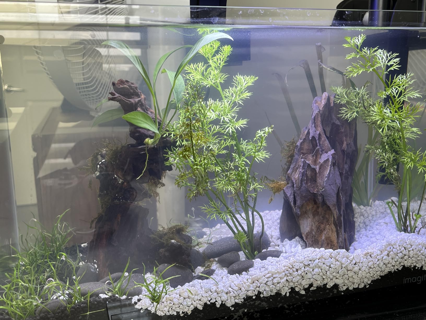 Aqueon Clip-On LED Fish Tank Light for Planted Aquariums, Up to 20 Gal customer photo 2