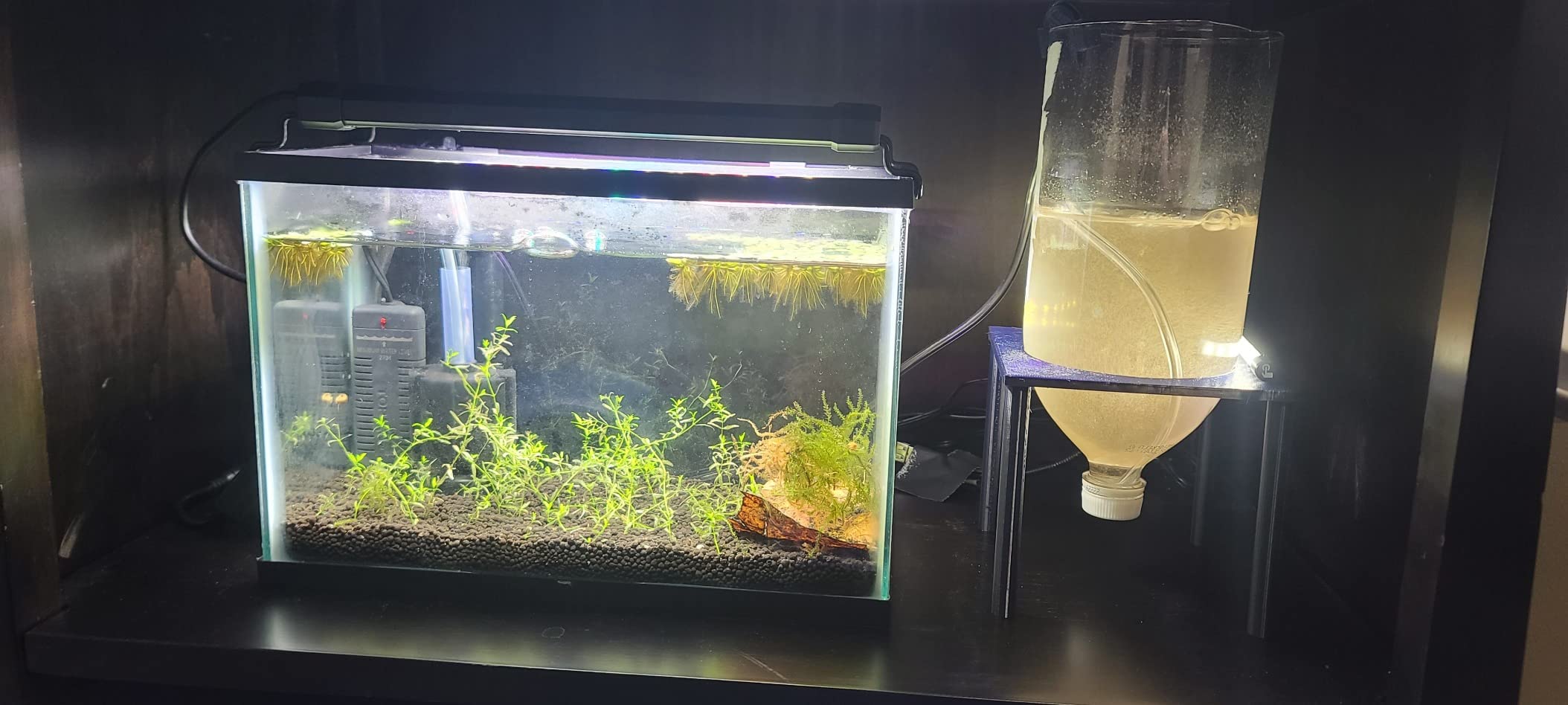 NICREW ClassicLED Plus LED Aquarium Light, 15W, for 18 to 24 Inch Fish Tank customer photo 1
