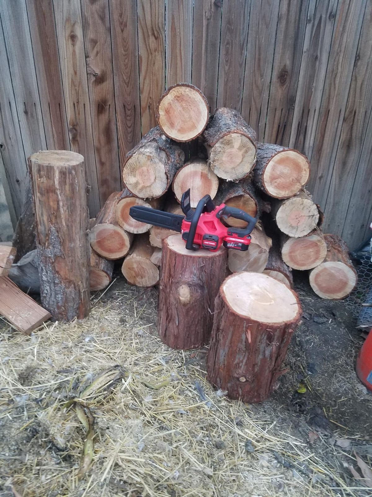 CRAFTSMAN V20 Cordless Chainsaw, 12-Inch Electric Chainsaw, Battery Powered, Battery and Charger Included (CMCCS620M1) customer photo 1