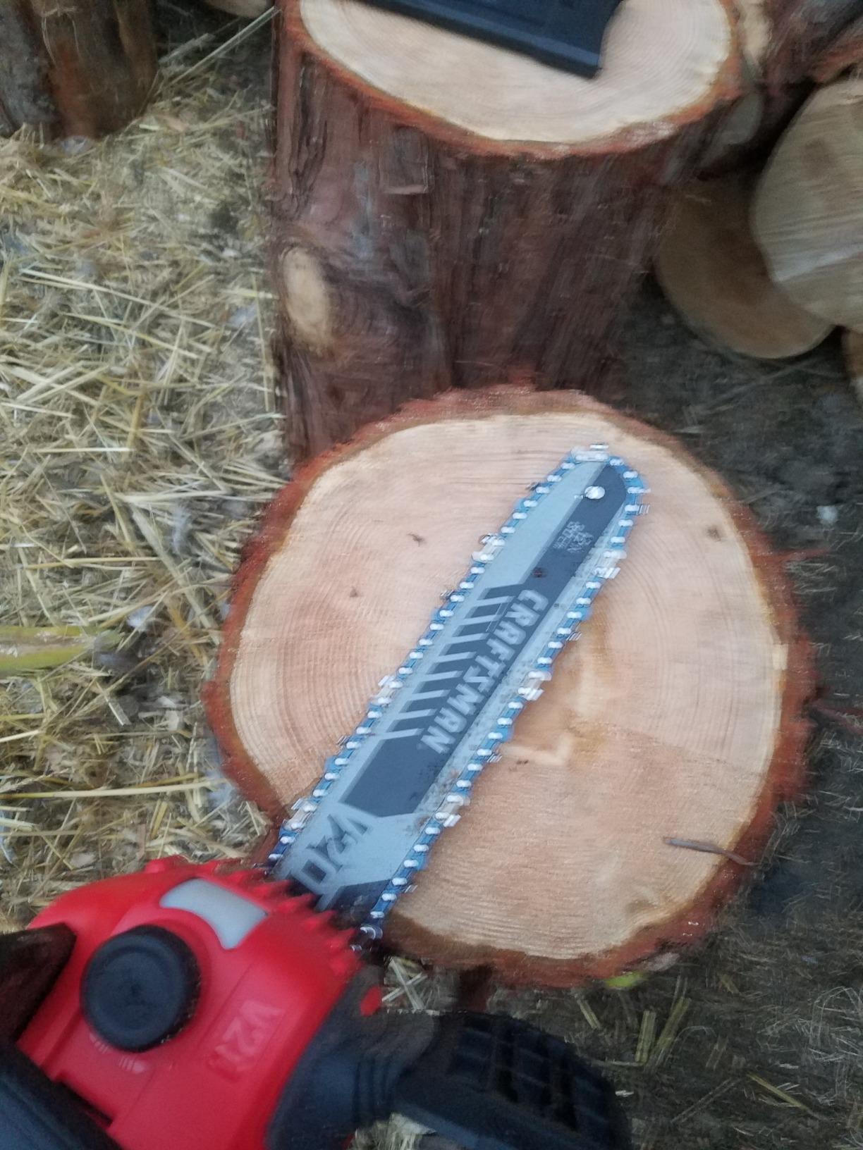CRAFTSMAN V20 Cordless Chainsaw, 12-Inch Electric Chainsaw, Battery Powered, Battery and Charger Included (CMCCS620M1) customer photo 2