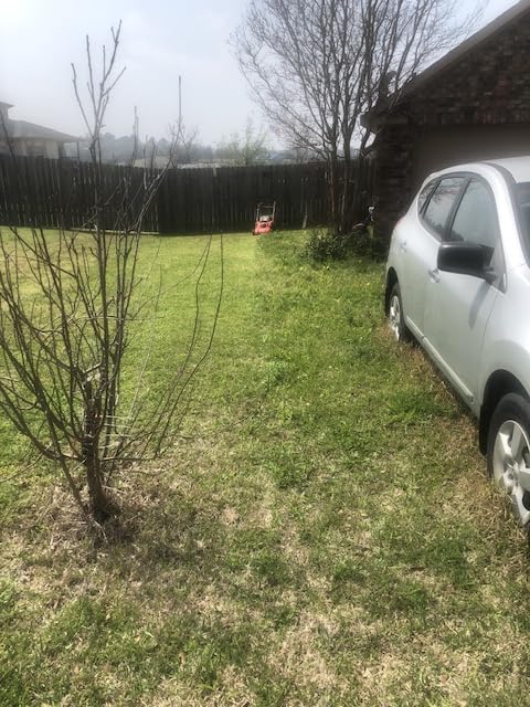 CRAFTSMAN Electric Push Lawn Mower, 20-Inch Deck, Corded, Powerful 13-AMP Motor, 6 Setting Height Adjustment, Winged Blades, 3 in 1 Bagging, Mulching and Discharge (CMEMW213) customer photo 2