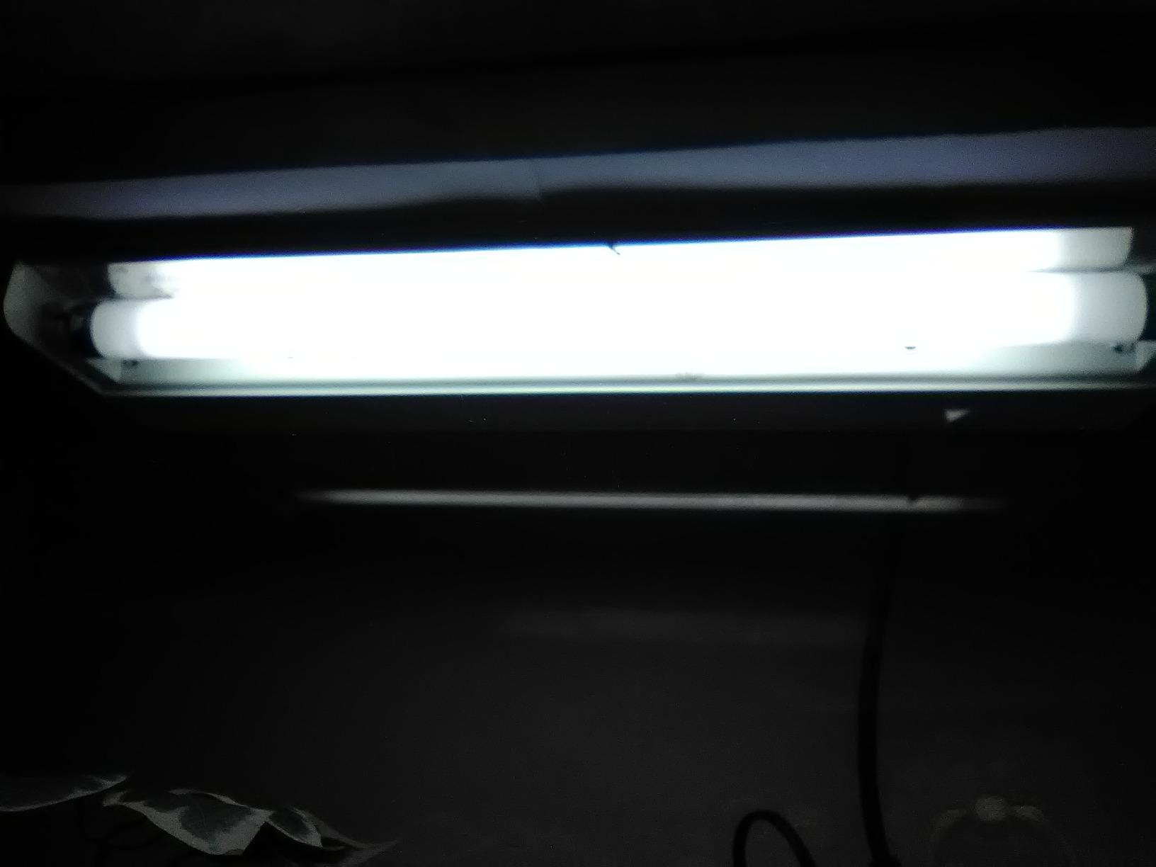 REPTI ZOO T8 Reptile Sun UVB Terrarium Desert Reptile 18 inch UVB Bulb Fluorescent Lamp Tube T8 15 Watt Habitat Lighting customer photo 1