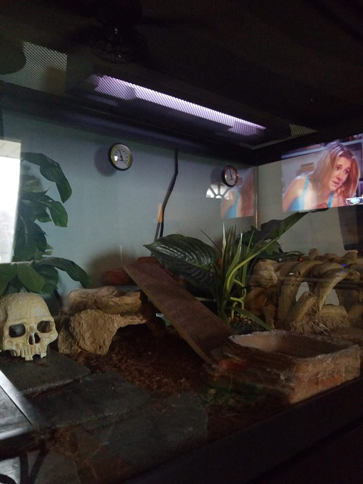 REPTI ZOO T8 Reptile Sun UVB Terrarium Desert Reptile 18 inch UVB Bulb Fluorescent Lamp Tube T8 15 Watt Habitat Lighting customer photo 2