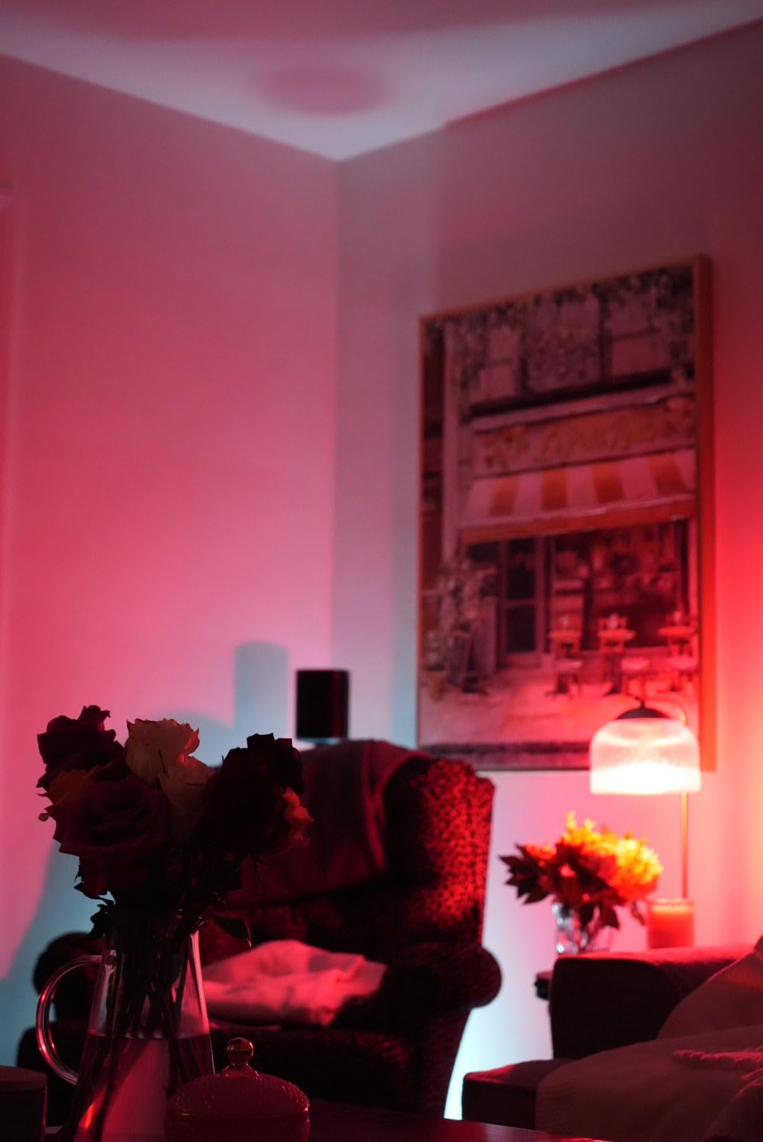 Hue Go Portable Lamp customer photo 1